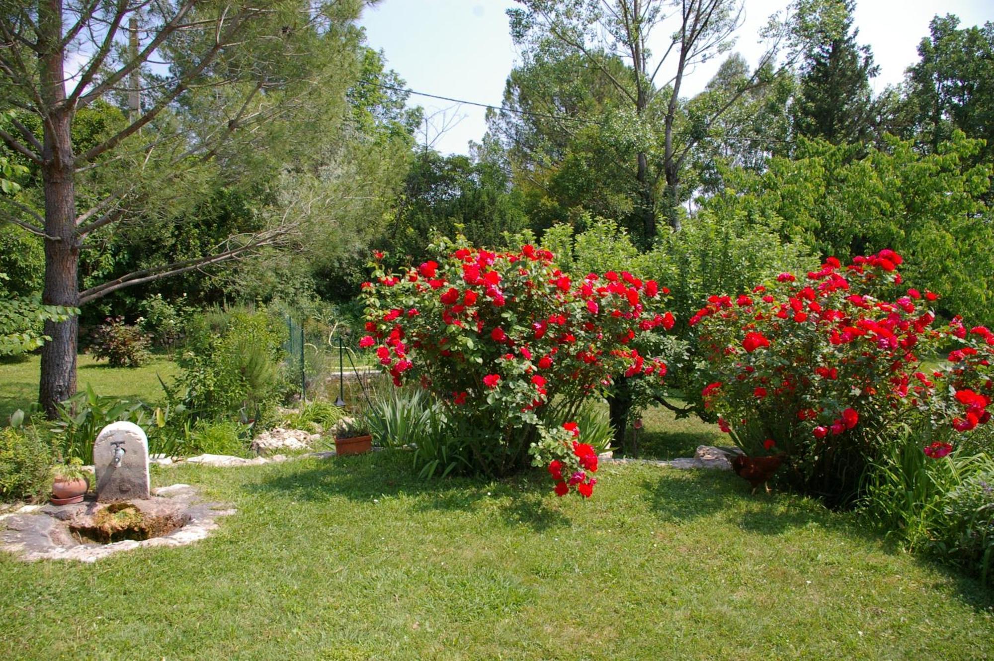 Gite La Paillote Montauroux Exteriör bild