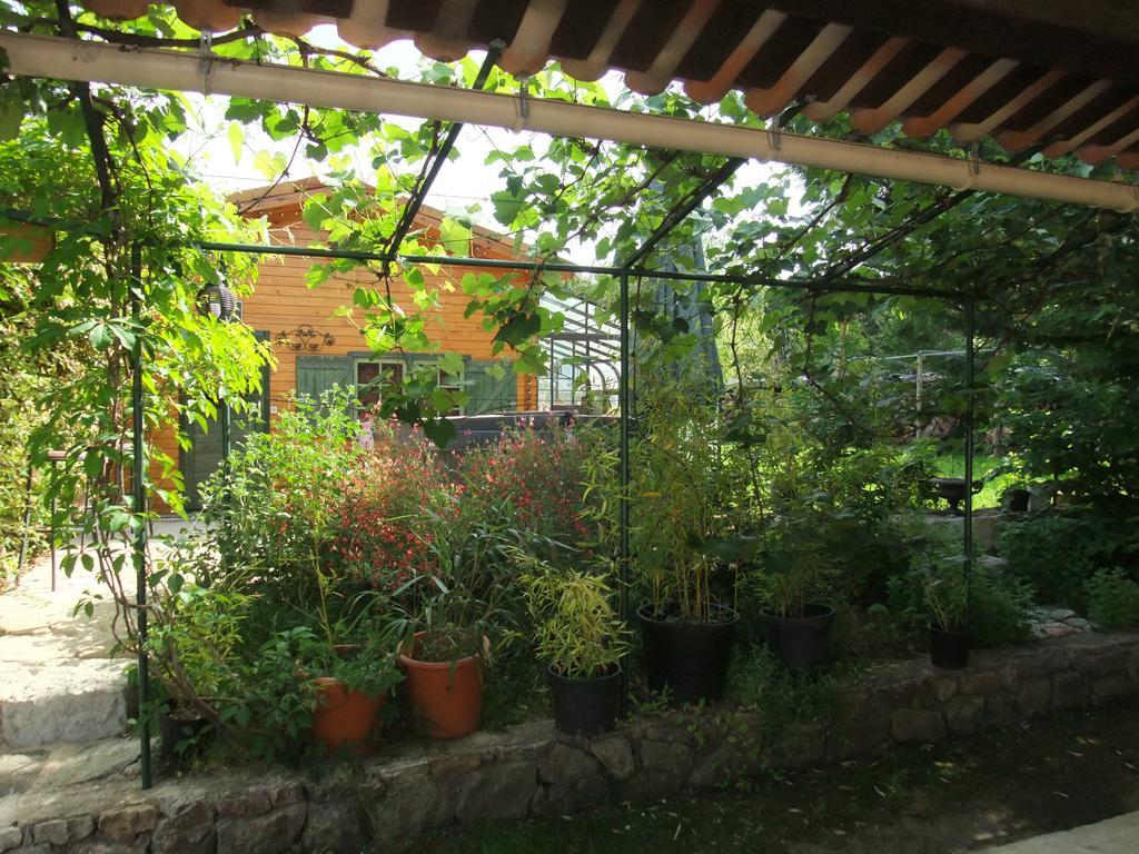 Gite La Paillote Montauroux Exteriör bild